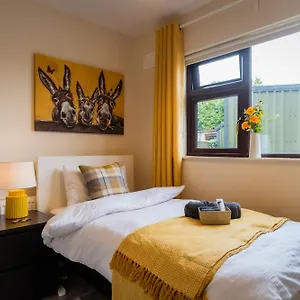Séjour chez l'habitant Suburban Haven, Dublin